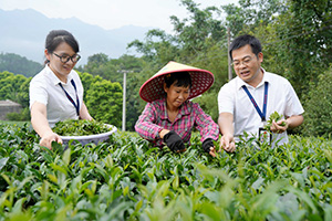 书记谈丨纵深整治群众身边不正之风和腐败问题
